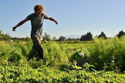 La Ferme En'Vie, Ferme Bio à Velleron