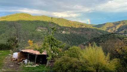 Saveurs du Castanet, Ferme Bio au Collet-de-Dèze