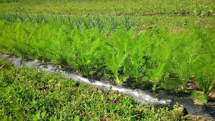 Le Bio D'à Côté, Ferme Bio à Taden