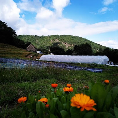 La Ferme Des Vauzelles, Ferme Bio à Saint-Étienne-de-Chomeil