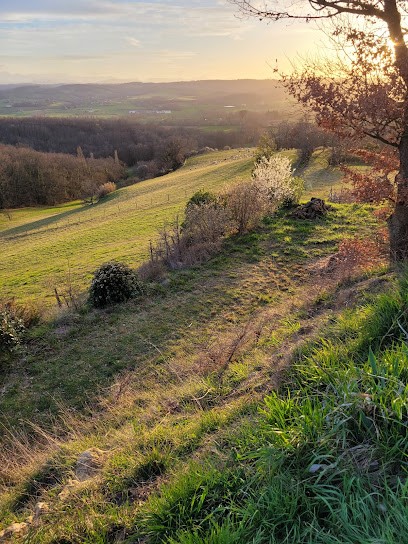 Les Agneaux des Côteaux, Ferme Bio à La Bastide-de-Besplas