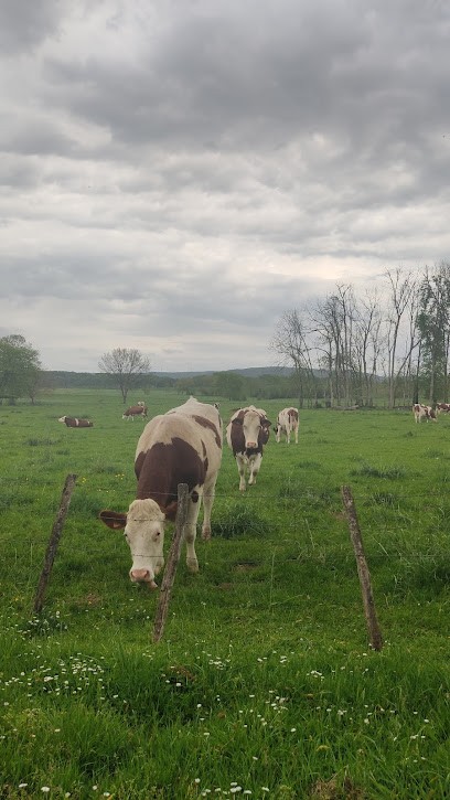 GAEC MONNIN - Fromagerie Fermière Bio, Ferme Bio à Fontenois-lès-Montbozon