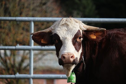 La Ferme des Rapilles, Ferme Bio à Engins