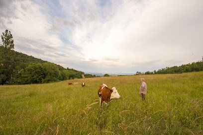 La Ferme de Combalat, Ferme Bio à Félines