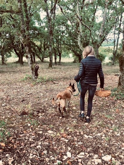 Domaine Truffier de Saleix, Ferme Bio à Sorges et Ligueux en Périgord