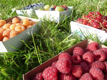 Les Jardins De Cilou, Ferme Bio à Cléguérec