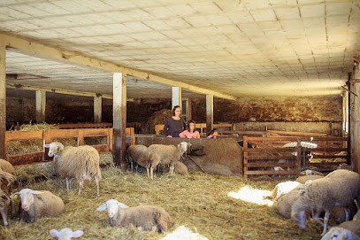 Fhal Thomas, Ferme Bio à Saint-Amand-le-Petit