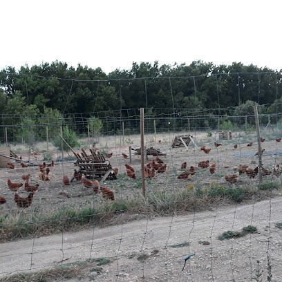 Poules & Co., Ferme Bio à Cabrières-d'Avignon