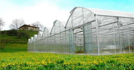 spiruline algahé, Ferme Bio à Camboulazet