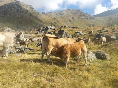 GAEC ferme des aubracs, Ferme Bio à Saint-Michel-de-Maurienne