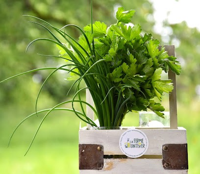 Ferme De Lintever, Ferme Bio à Cléguérec