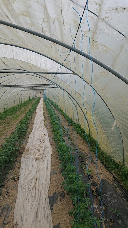 Massit Jean Noel, Ferme Bio à Moirans