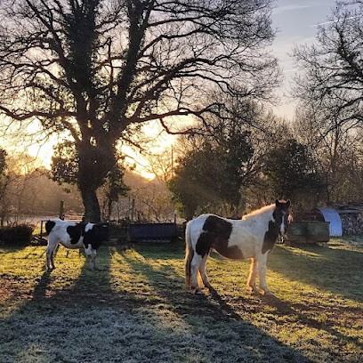 La Blain Belle Ferme, Ferme Bio à Blain