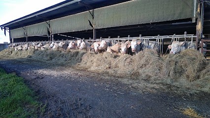 GAEC le clos de la poterie . Vente directe viande charolaise bio, Ferme Bio à Château-Guibert