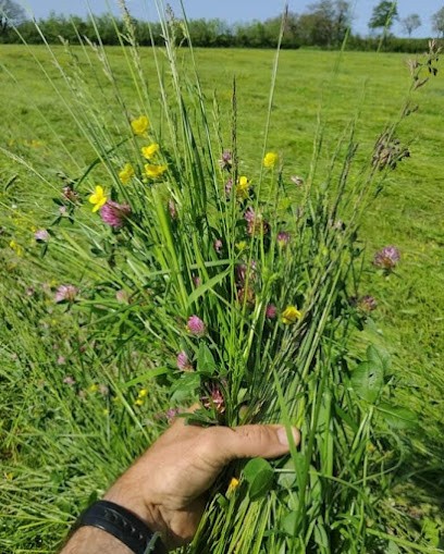 Ferme à Flore D'Eau, Ferme Bio à Villeneuve-en-Retz