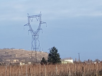 SEFerSol Maraîchage Biologique, Ferme Bio à Katzenthal