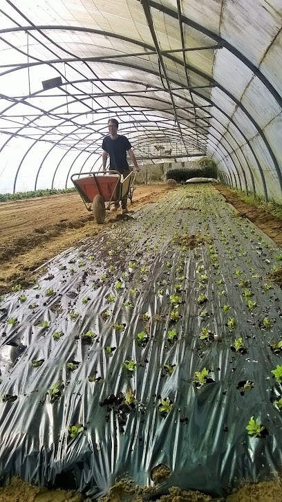 Weppes en Bio, Ferme Bio à Ennetières-en-Weppes