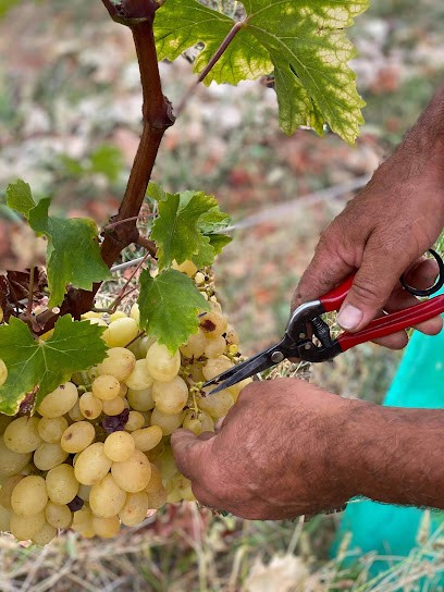 LARROQUE GERARD - Ferme LOU RANQUET, Ferme Bio à Lafrançaise
