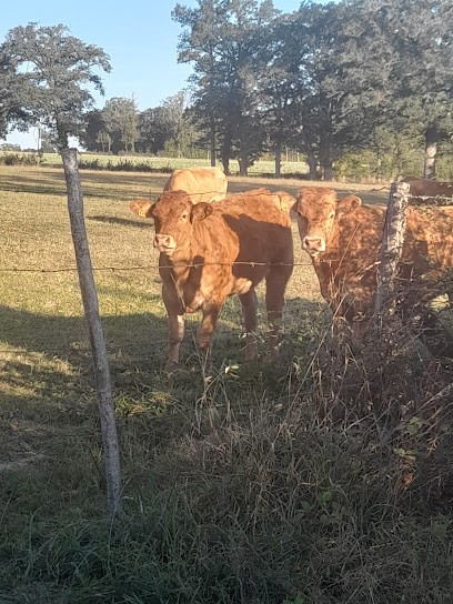 La petite ferme du ponty, Ferme Bio à Saint-Dizier-la-Tour