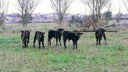 Ferme De La Nerrière, Ferme Bio à Antigny
