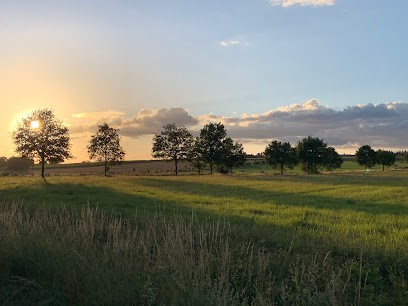 Ferme Des Petits Grains, Ferme Bio à Combourtillé