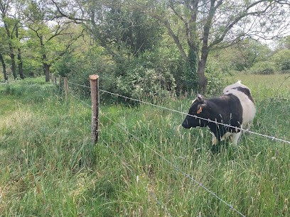 Les Jardins de la Marin, Ferme Bio à La Boissière-de-Montaigu
