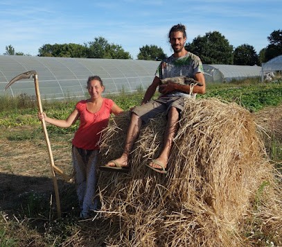 Aux jardins des colibris, Ferme Bio à Soullans