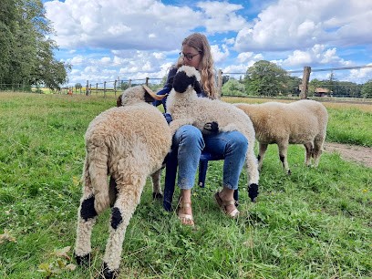 DOMAINE EQUESTRE DES BACHATS, Ferme Bio à Rhodes