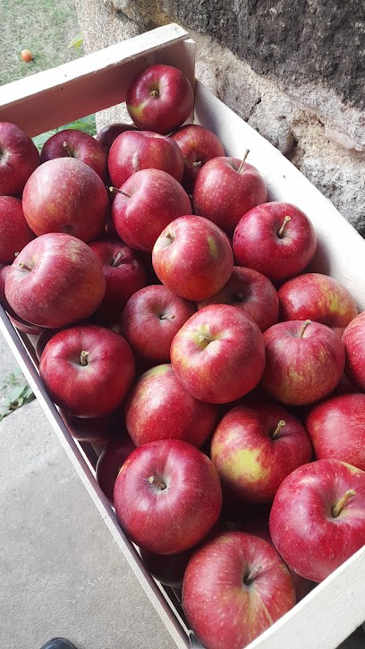 Le Verger des Roches, Ferme Bio à Lignières-Orgères