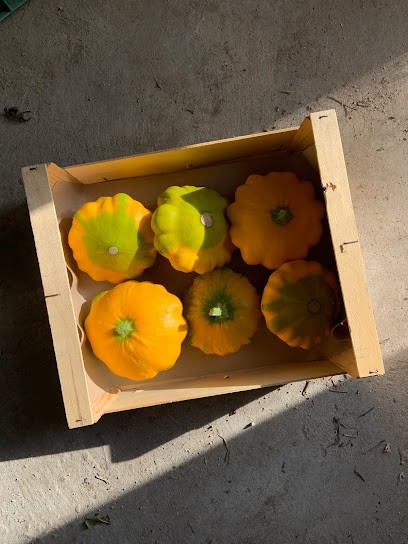 Faiseuse de racines, Ferme Bio à Gignac-la-Nerthe