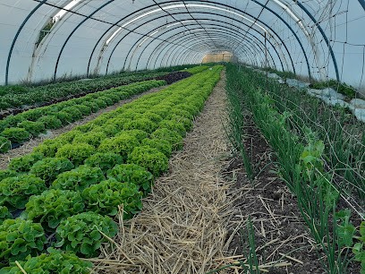 Ferme Ginouguier, Ferme Bio à Tarascon