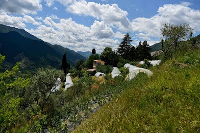 Ferme Lavancia, Ferme Bio à Puget-Théniers