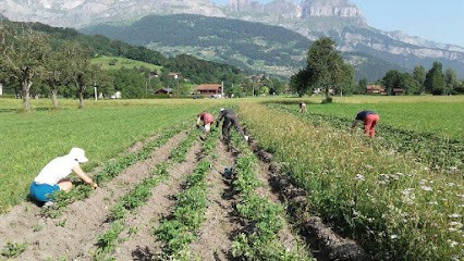 Une ferme pour tous - La ferme associative du Pays du Mont Blanc, Ferme Bio à Domancy