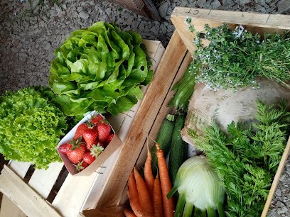 Ferme Plein le Boutoc, Ferme Bio à Tréflez