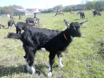 Chèvrerie Les bêlevenues, Ferme Bio à La Chapelle-Saint-Laud