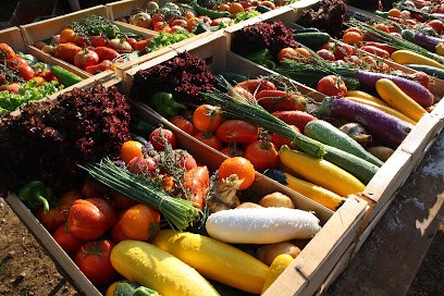 Paniers De Saison, Ferme Bio à Thury