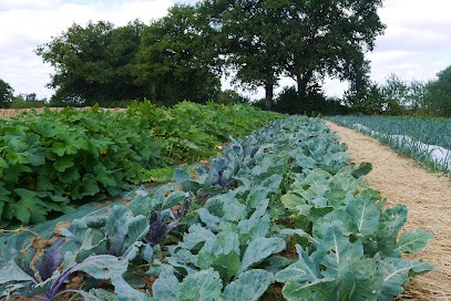 Des Racines et des Pattes, Ferme Bio à Saint-Junien-les-Combes