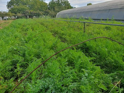Le Jardin d'André, Ferme Bio à Albi