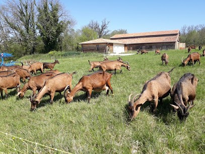 EARL L'Ecoferme de l'Azuré, Ferme Bio à Ronsenac