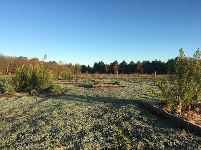 Choux Pommes & Cie, Ferme Bio à Feneu