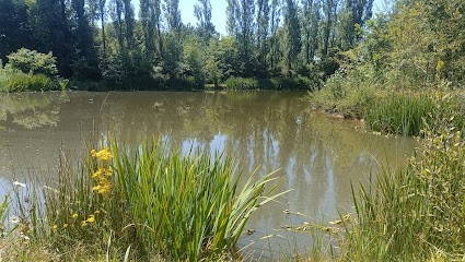 SCEA Mon Petit Producteur, Ferme Bio à Legé