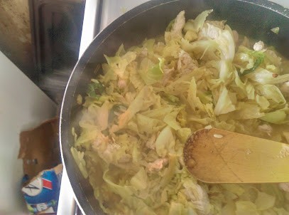 CAUCHOIS Jean-Paul, Ferme Bio à Chouzé-sur-Loire