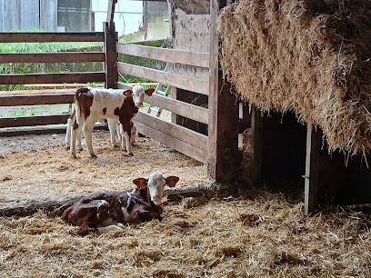 GAEC LE RUISSEAU DES ECREVISSES, Ferme Bio à Bouligney