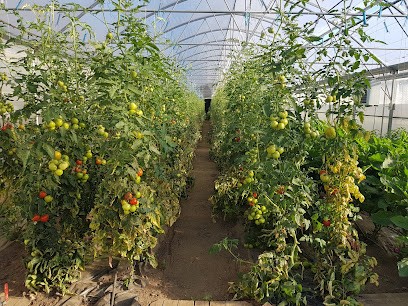 C.A.T. le Bellaie, Ferme Bio à Noues de Sienne