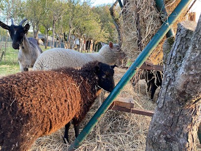 Ecolieu La Foret, Ferme Bio à Bossée