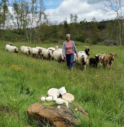 EARL Natur' Agneau, Ferme Bio à Saint-Flour
