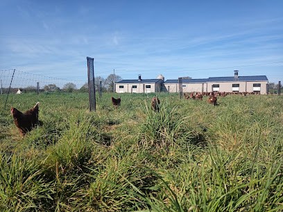 Ferme de la Ploutière, Ferme Bio à Teillay