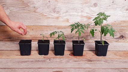 La ferme des Parpaiouns, Ferme Bio à Barbentane