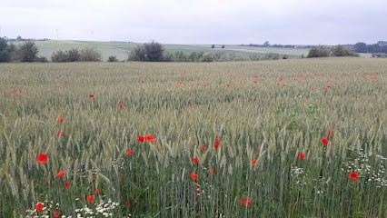Follépi, Ferme Bio à Vendegies-sur-Écaillon
