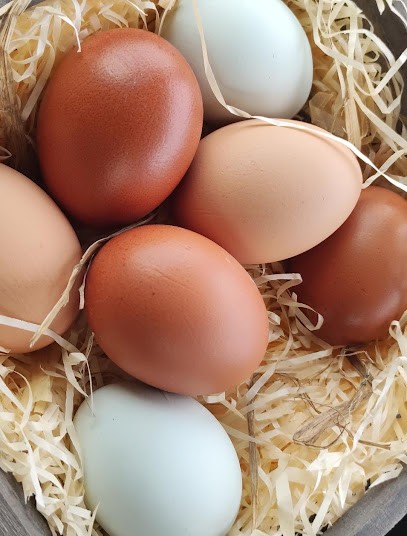 Ferme des Poussinettes Landaises, Ferme Bio à Notre-Dame-des-Landes